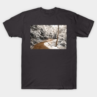 Not a snowfall T-Shirt